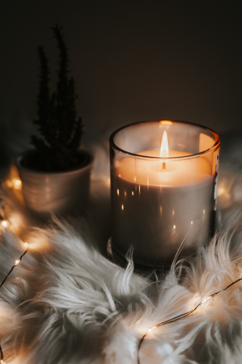 Wellness & Self-Care